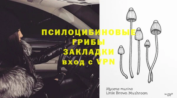 кокс Липки