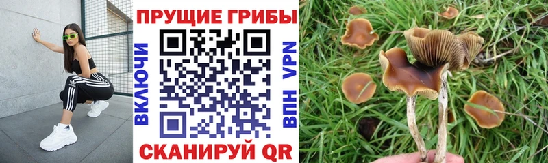 Псилоцибиновые грибы ЛСД  Черемхово 